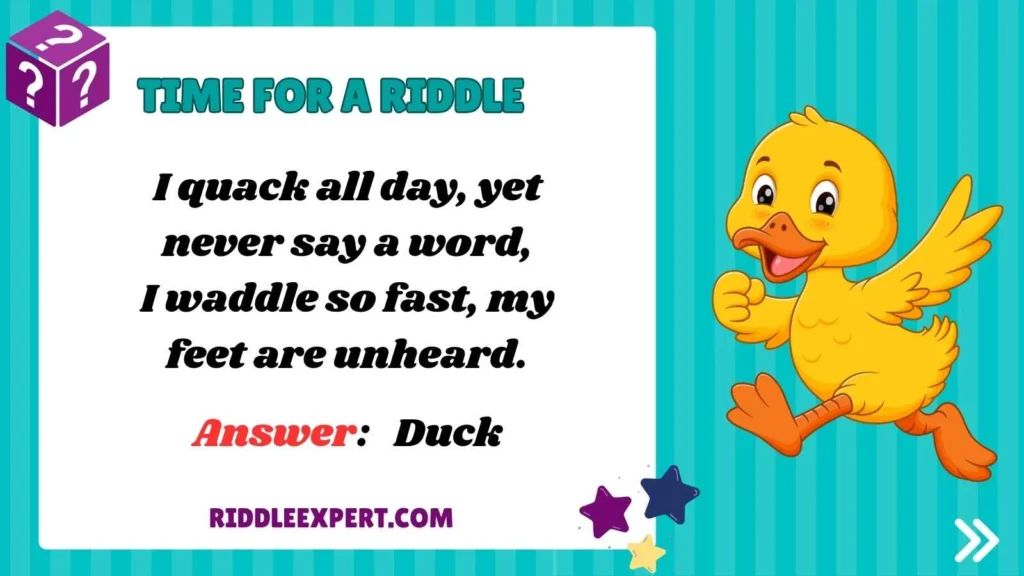 Quirky Duck Riddles