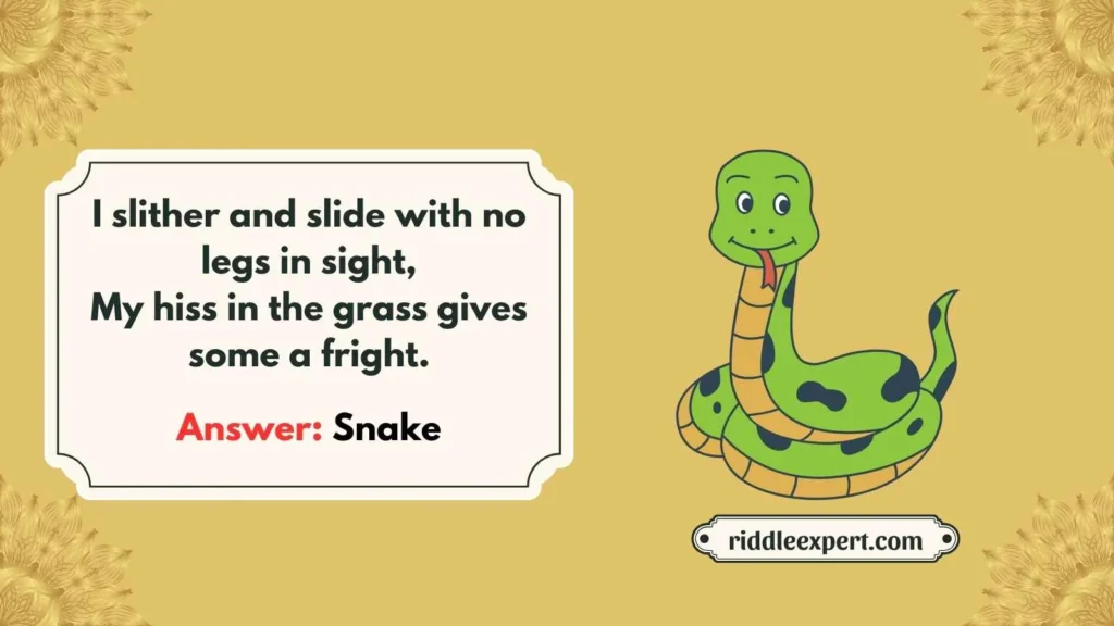 Rhyming Riddles About Animals