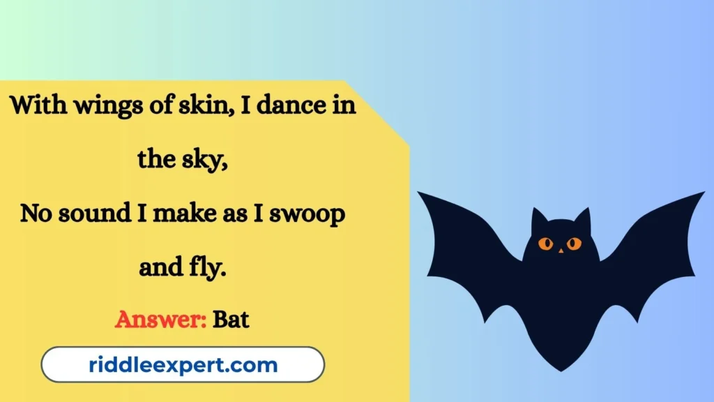 Riddles About Bat Flight