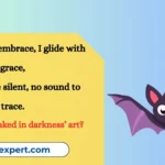 Riddles About Bat Flight