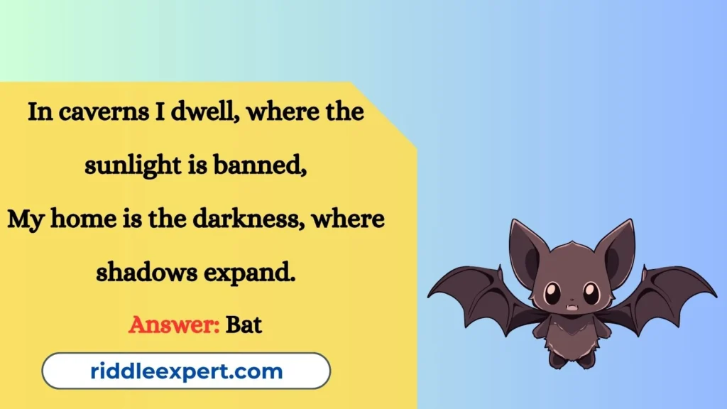 Riddles About Bat Habitats