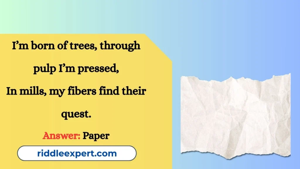 Riddles About Paper’s Journey