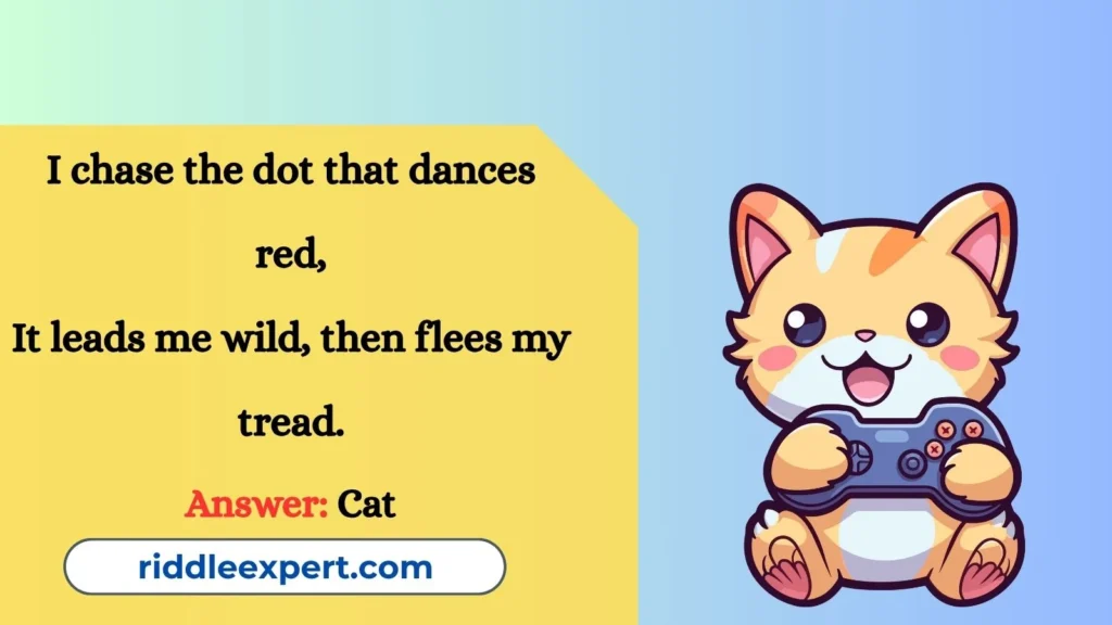 Riddles of Cat Games