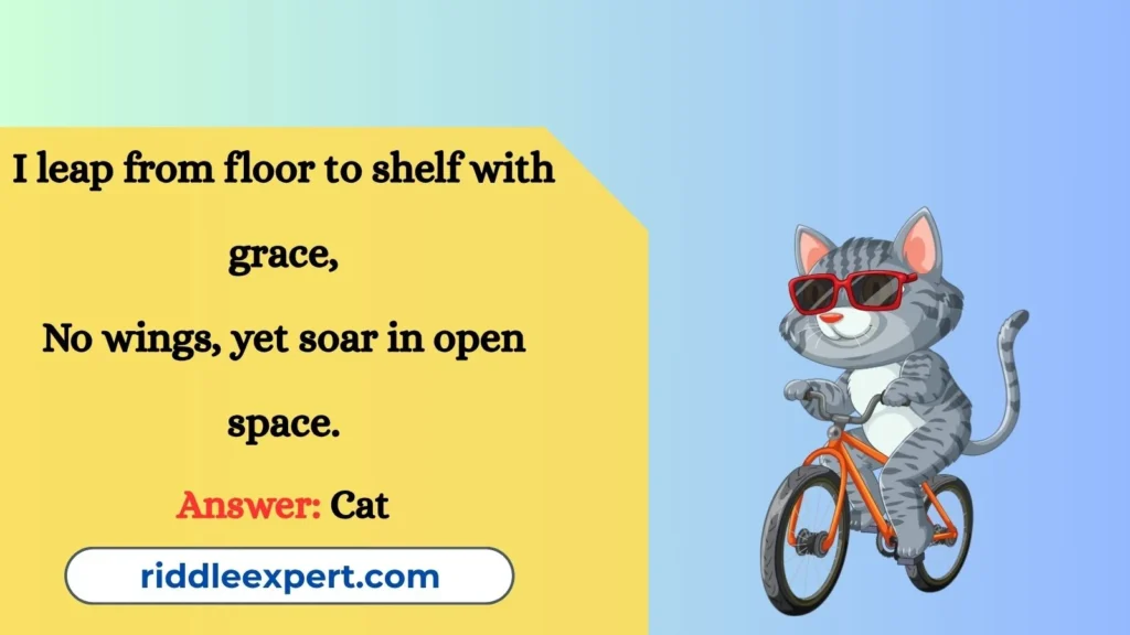 Riddles of Cat Movement