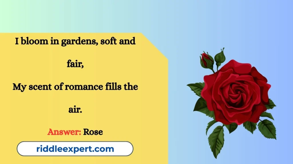 Riddles of Radiant Roses