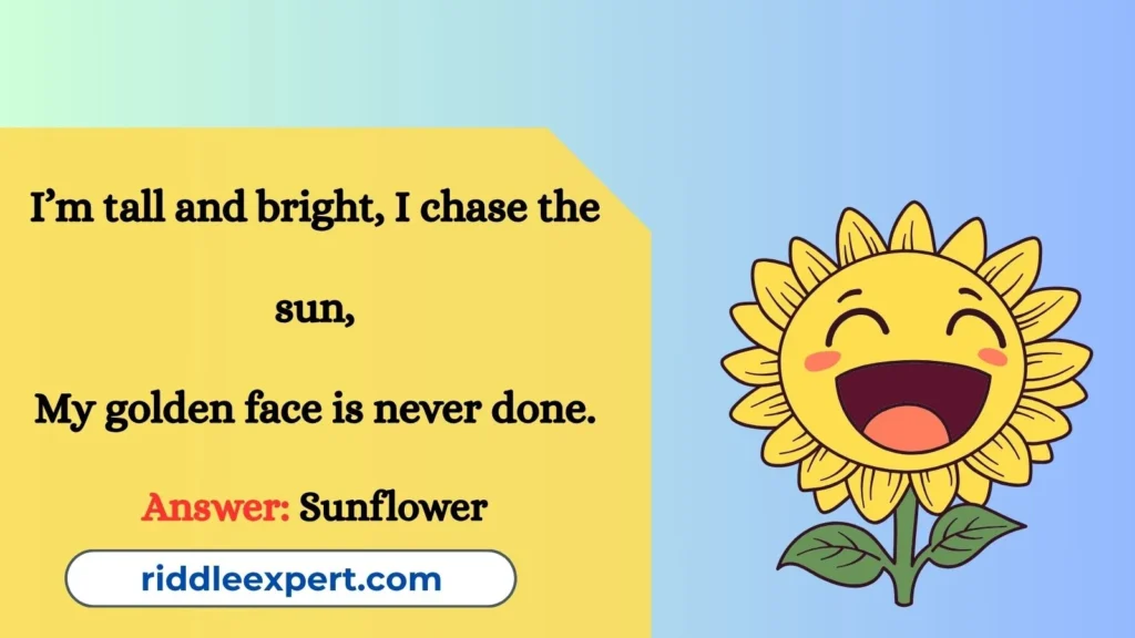 Sunny Sunflower Smiles