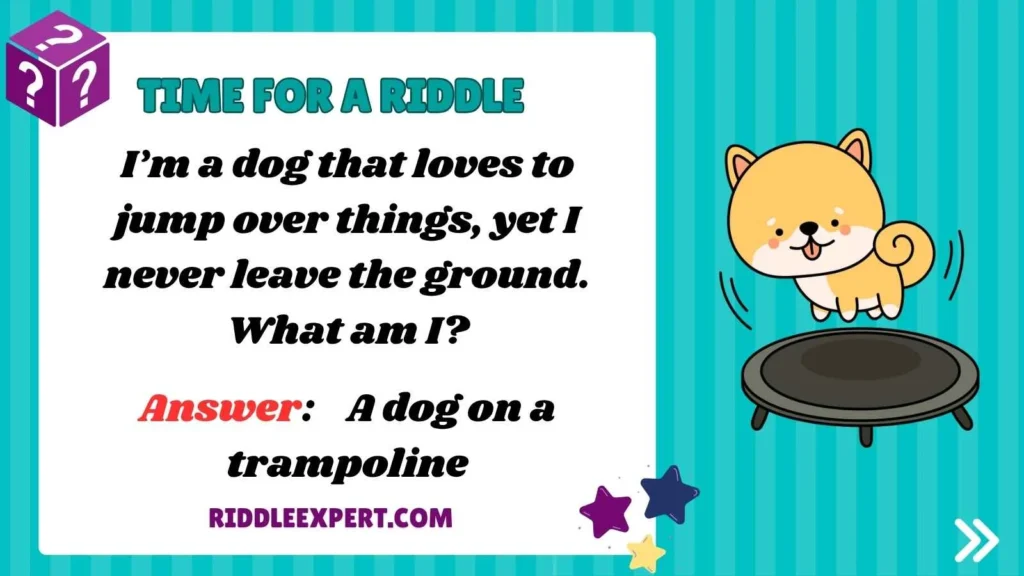 The Clever Pooch Puzzles