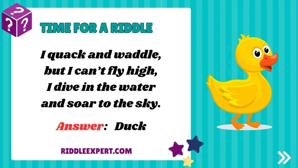 Tricky Duck Riddles