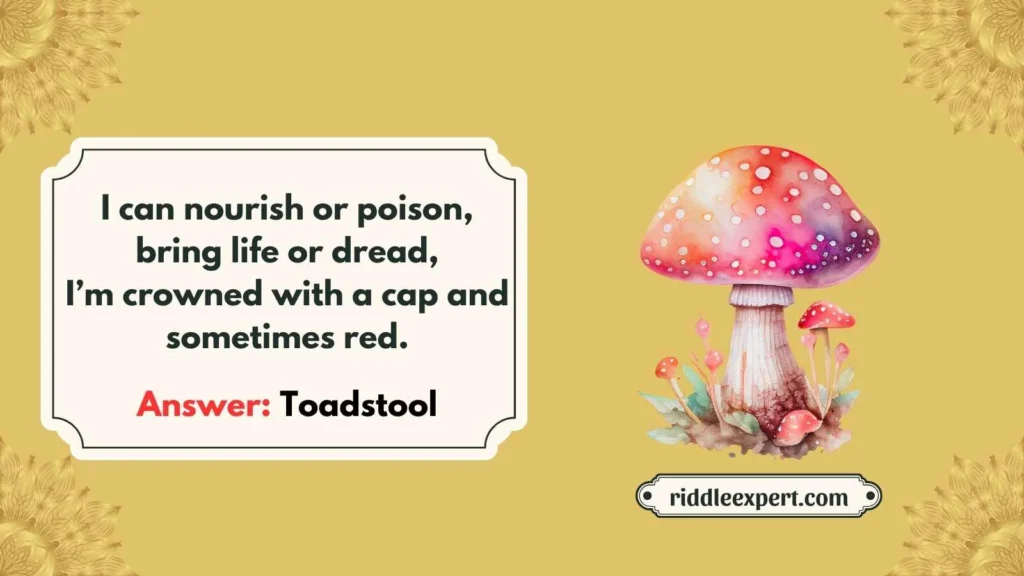 Tricky Mushroom Riddles for Adults