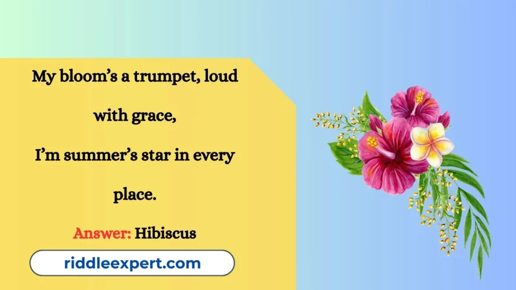 Tropical Hibiscus Wonders