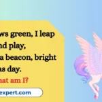 Unicorn Riddles