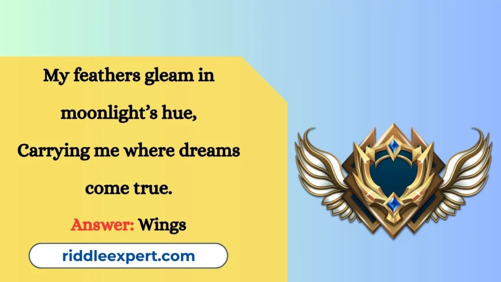 Winged Wonders