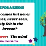 Chinese Riddles